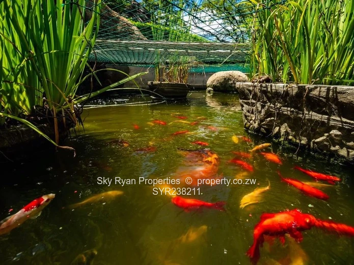 Kuimba Shiri Bird Park Lake House For Sale