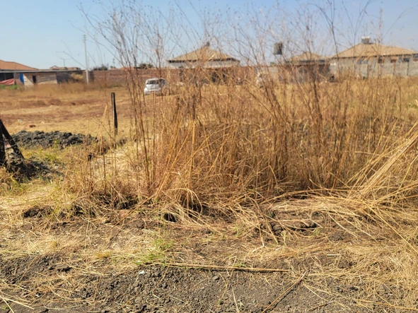 Stands & Residential Land
