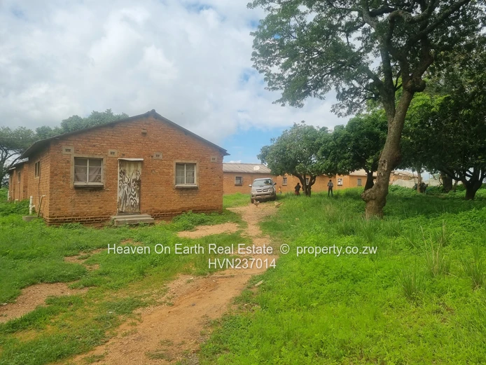 Green Gold For You Farmers!!