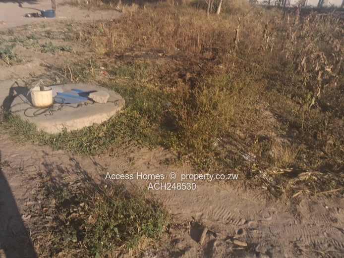 Masasa Park  (Sole Mandate)