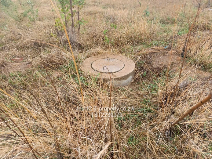 Nyabira Penrose stand for sale  (Sole Mandate)