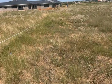 Stands & Residential Land