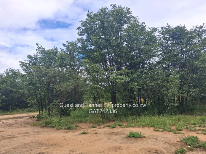 60-hectare Plot For Sale In Beatrice