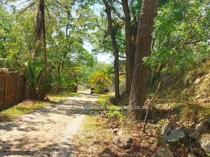 Mature Neighbourhood 