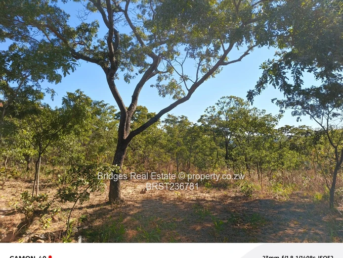 Awesoment investment