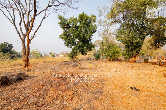Exclusive Property For Sale 