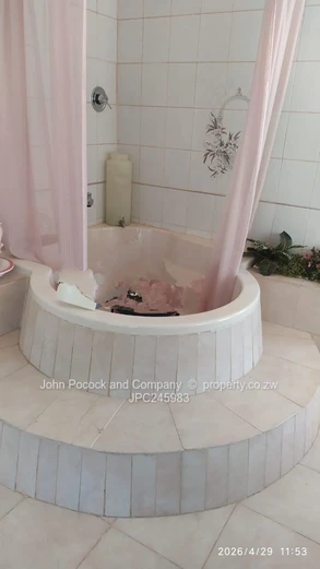 Warm, Spacious and Inviting Home in Woodlands