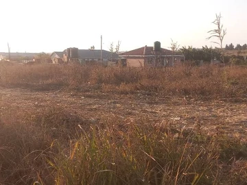 Land