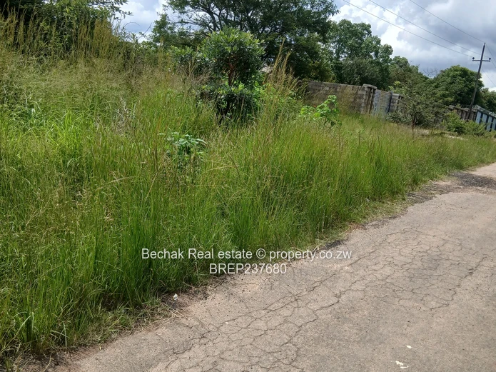 Stand for sale in Burnside 