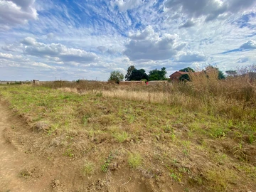 Stands & Residential Land