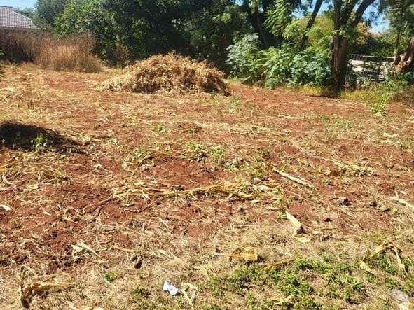 Stands & Residential Land