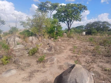 Stands & Residential Land