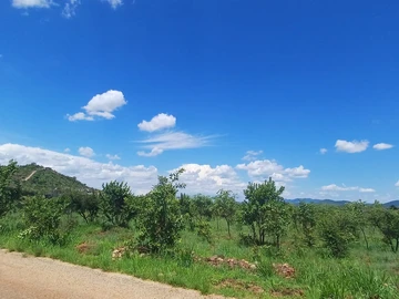 Commercial & Industrial Land