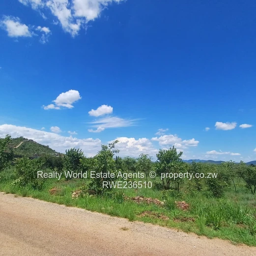 Masvingo Clipsham Stand For A School 