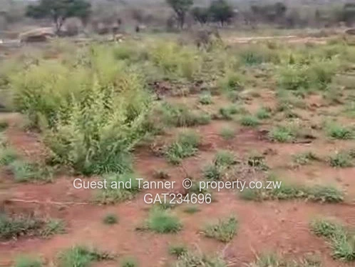 Ready to Build! Serviced Stand for Sale in Sunninghill near Bulawayo - Behind NUST (Isinga)