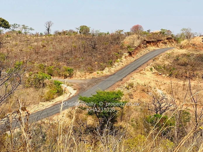 Pomona Stand For Sale  Wild Geese UZ project