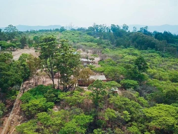 Land