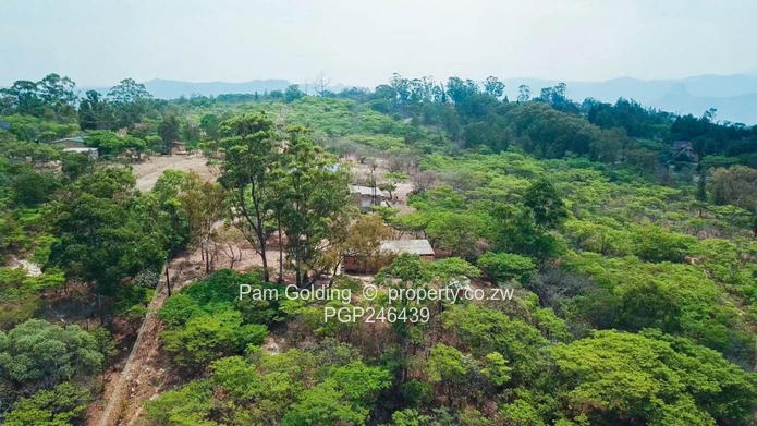 Stands In Nyanga At Nyamazi River For Sale