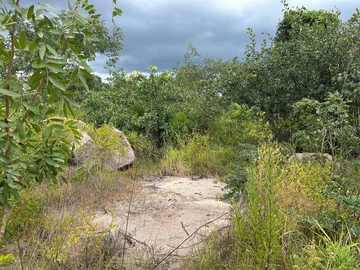 Commercial & Industrial Land