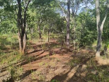 Farm & Agricultural Land