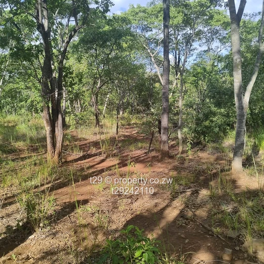Norton chegutu selous plots for sale