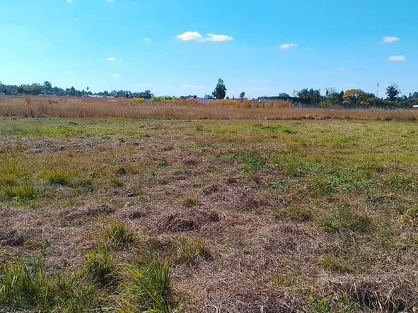 Commercial & Industrial Land