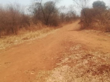 Farm & Agricultural Land