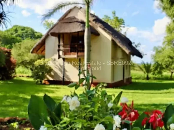 Farm & Agricultural Land