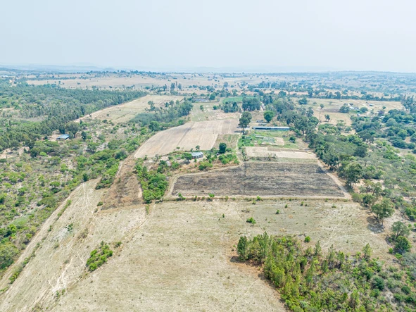 Farm & Agricultural Land