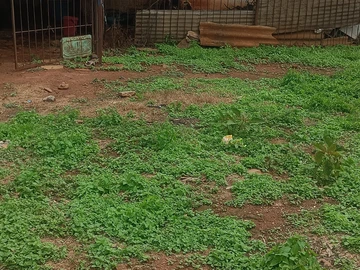 Farm & Agricultural Land