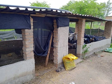 Farm & Agricultural Land