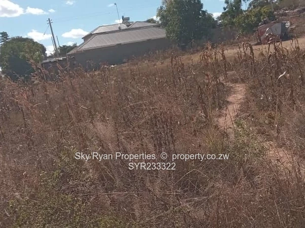 Pomona Stand For Sale