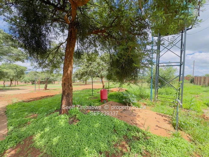 1.24 Acres With Existing Cottage In Gletwin