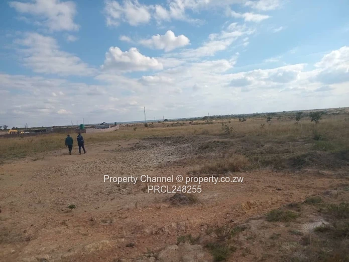 5,000 sqm Level Plot in 8km west of Gweru CBD — Open Grass, Adjacent Walled Property