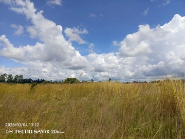 Farm & Agricultural Land