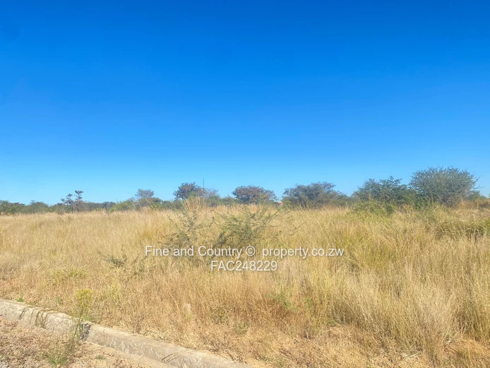 Prime 3.8-Hectare School Development Opportunity | Buena Vista, Riverside