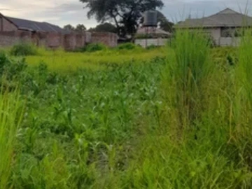 Stands & Residential Land