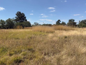 Commercial & Industrial Land