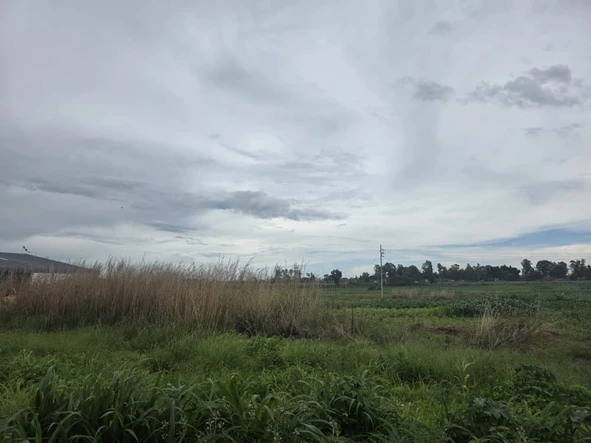 Commercial & Industrial Land