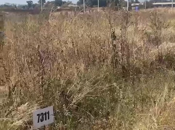 Stands & Residential Land