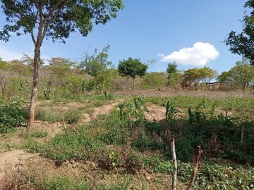 Farm & Agricultural Land