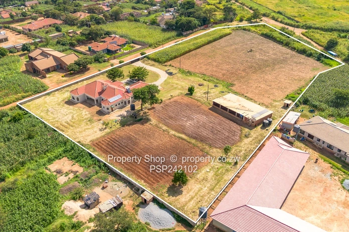 Endless Possibilities In Glaudina