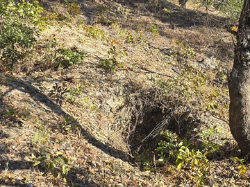 Farm & Agricultural Land