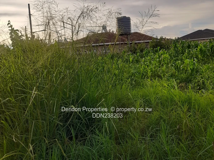 Build your dream home  (Sole Mandate)