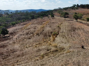 Farm & Agricultural Land