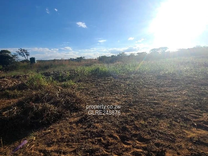 Sunlit 1000m² Crowhill Views Stand — Subdivision Potential