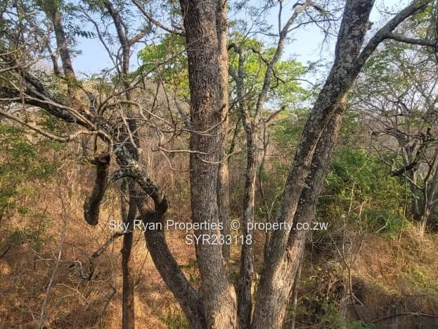 Glen Lorne  Stand For Sale