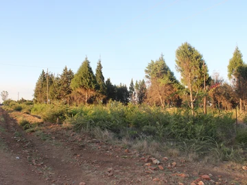 Commercial & Industrial Land