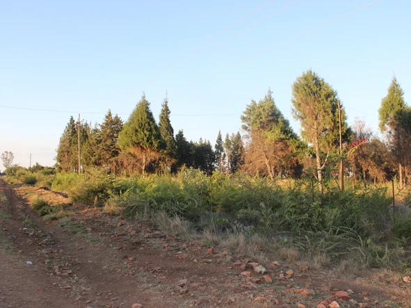 Commercial & Industrial Land