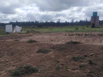 Farm & Agricultural Land